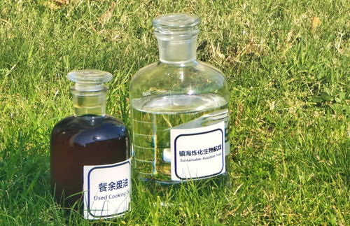 地沟油变身高性能航空燃料 国产大飞机试飞成功背后的绿色动力革命