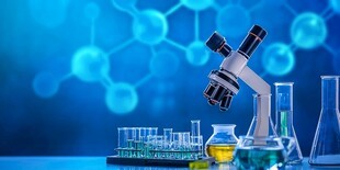 医学化工与生物化工 从微观素材到宏观应用的融合